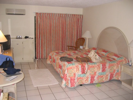 Room View1
